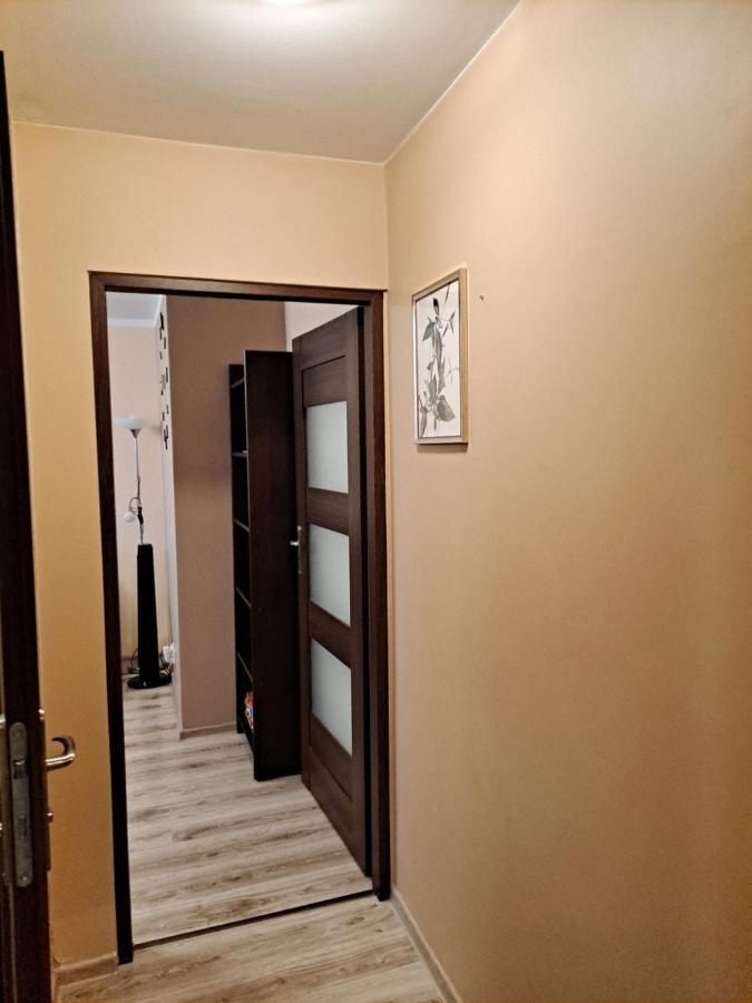 Appartement Monica à Jelenia Góra Extérieur photo